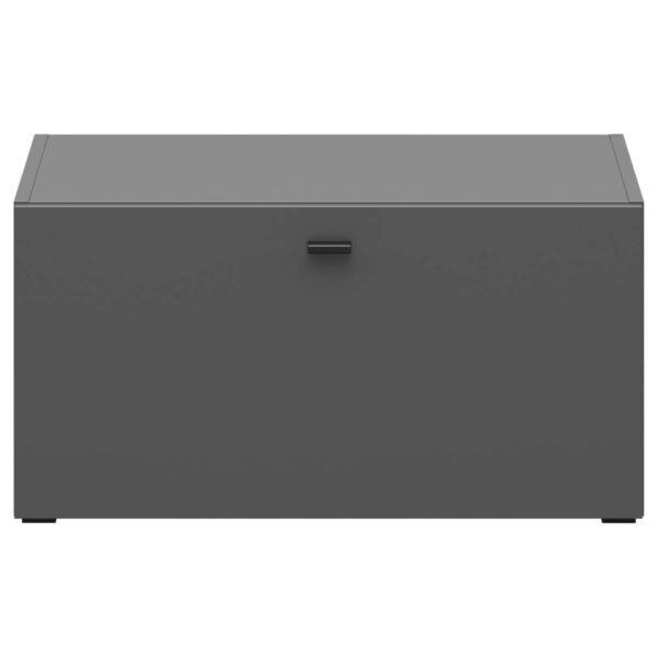 5905918135101 Regal System 64
anthrazit matt B/H/T: ca. 64x32x35 cm