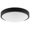 Lamkur Deckenleuchte schwarz Glas Stahl B/H/L: ca. 37x8x37 cm E27 2 Brennstellen