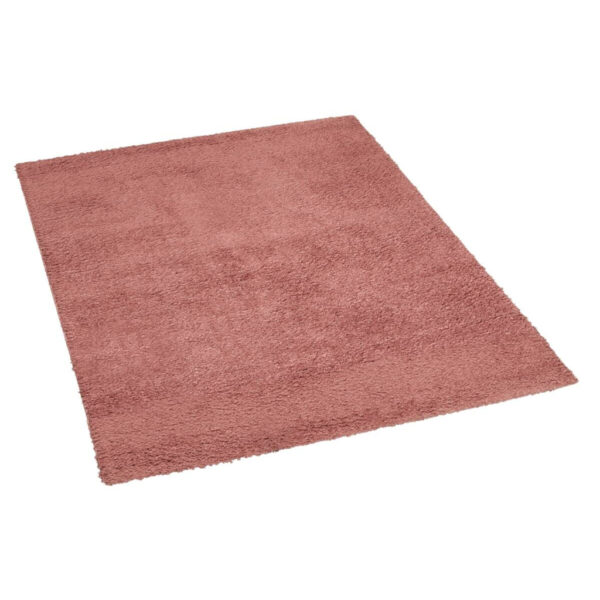 6694200092107-1 Langflorteppich Tiamo
rosa B/L: ca. 120x170 cm