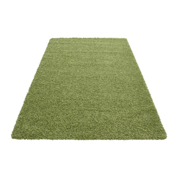 8694257061048 Ayyildiz Teppich LIFE
grün B/L: ca. 60x110 cm