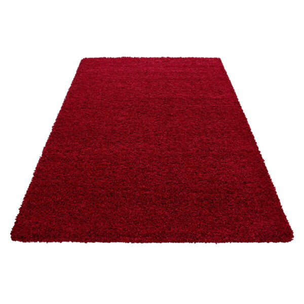 8694257067231-1 Ayyildiz Teppich LIFE
rot B/L: ca. 140x200 cm