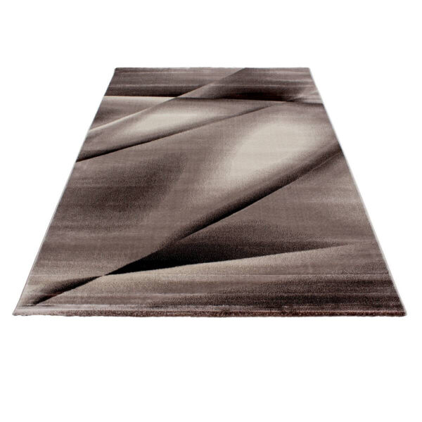 8694257094190-1 Ayyildiz Teppich MIAMI
braun B/L: ca. 120x170 cm