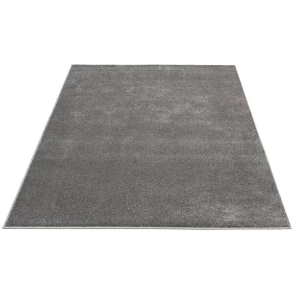 8695782000311-1 Teppich Montana
anthrazit B/L: ca. 160x230 cm