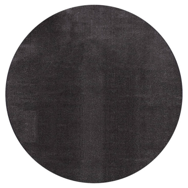 8696734313435-1 Teppich Loft
anthrazit D: ca. 200 cm