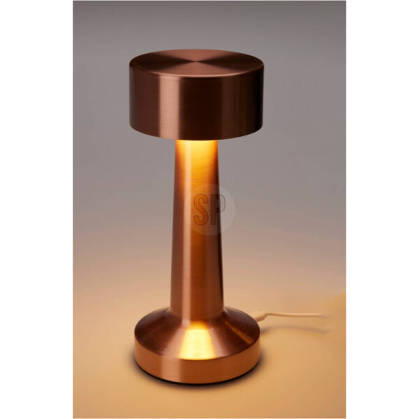 LED-Tischleuchte
Kupfer Eisen H/D: ca. 21x9 cm