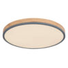 GLOBO LED-Deckenleuchte Graphit Opal Metall Kunststoff H/D: ca. 8,5x60 cm
