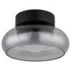 GLOBO Deckenleuchte schwarz Rauch Glas Metall B/H/L: ca. 26,5x15,5x26,5 cm GLOBO Deckenleuchte schwarz Rauch Glas Metall B/H/L: ca. 26,5x15,5x26,5 cm