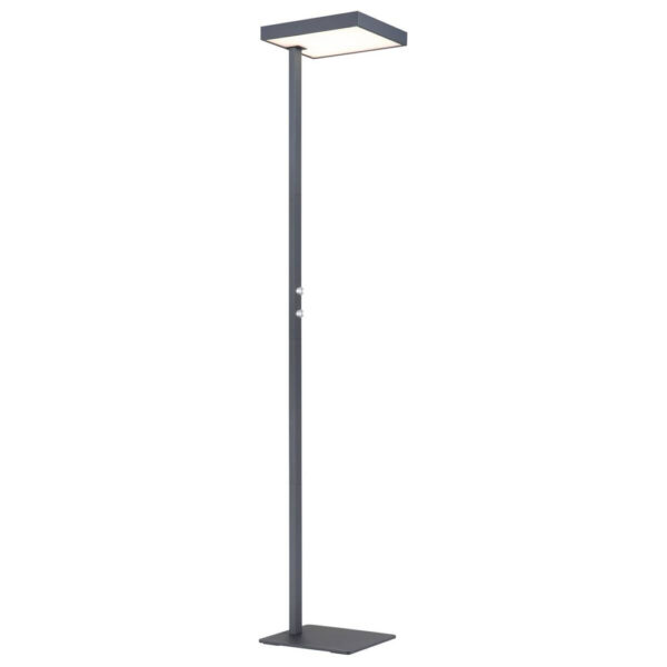 GLOBO Stehlampe
Opal schwarz anthrazit Metall Aluminium Kunststoff B/H/L: ca. 28x184,8x40 cm 2 Brennstellen