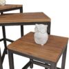 Beistelltisch 3er-Set natur schwarz pulverbeschichtet Echtholz Metall – Bild 4