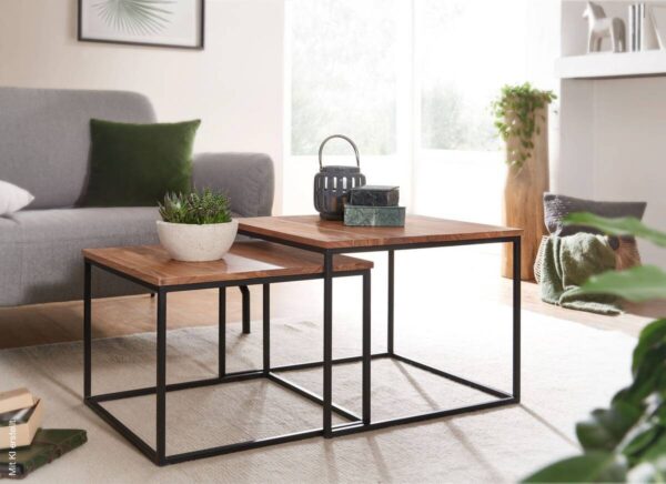 Couchtisch 2er-Set. natur schwarz pulverbeschichtet Couchtisch 2er-Set. natur schwarz pulverbeschichtet – Bild 2