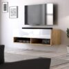 TV-Lowboard TV LOWBOARD DERBY 100 Eiche Wotan Nachbildung weiß glänzend B/H/T: ca. 100x32,5x31,5 cm – Bild 3