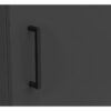 Schrank Multi-Stauraum Typ 20 anthrazit B/H/T: ca. 45x195x40 cm – Bild 2
