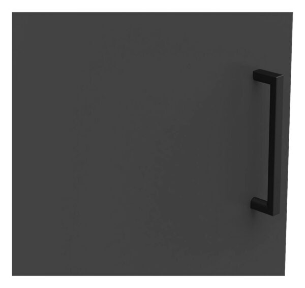 Schrank Multi-Stauraum Typ 20 anthrazit B/H/T: ca. 45x195x40 cm – Bild 3