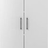 Aktenschrank 4250-69 Lichtgrau B/H/T: ca. 80x200x80 cm Aktenschrank 4250-69 Lichtgrau B/H/T: ca. 80x200x80 cm – Bild 5