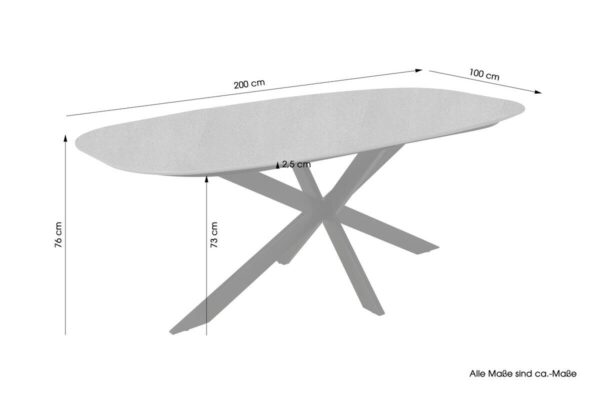 Esstisch OVAL B/H/T: ca. 200x76x100 cm – Bild 2