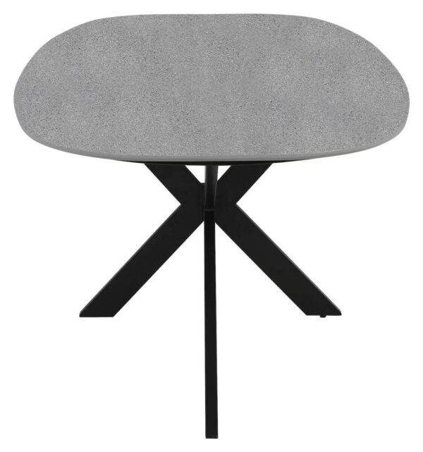 Esstisch OVAL B/H/T: ca. 200x76x100 cm – Bild 5