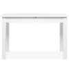 Esstisch Coburg weiß B/H/T: ca. 120x77x70 cm – Bild 3