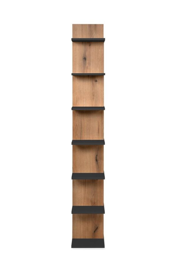 Regal Navas 20A Eiche Artisan Nachbildung anthrazit B/H/T: ca. 80x173x25 cm – Bild 3