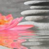 WENKO WC-Sitz Water Lily Thermoplast – Bild 4
