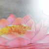 WENKO WC-Sitz Water Lily Thermoplast – Bild 5