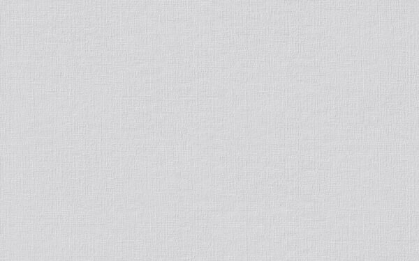 Erfurt Vliestapete Basic 101 weiß B/L: ca. 53x1005 cm – Bild 3