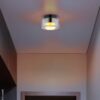 GLOBO LED-Deckenleuchte Rauch schwarz Metall Glas H/D: ca. 8,5x13 cm 1 Brennstellen – Bild 2