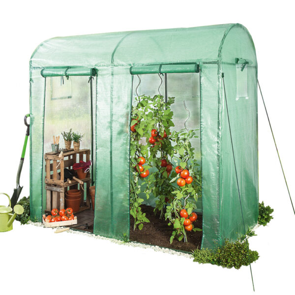 POWERTEC GARDEN Tomatengewächshaus mit 2 Toren und 4 Fenstern, ca. 200 x 100 x 150/180 cm – Grün