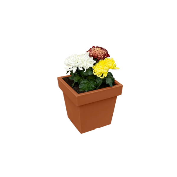 25996388-1 POWERTEC GARDEN Pflanztopf „Vigo“ aus Kunststoff, ca. 7, 5 Liter – eckig – Terrakotta