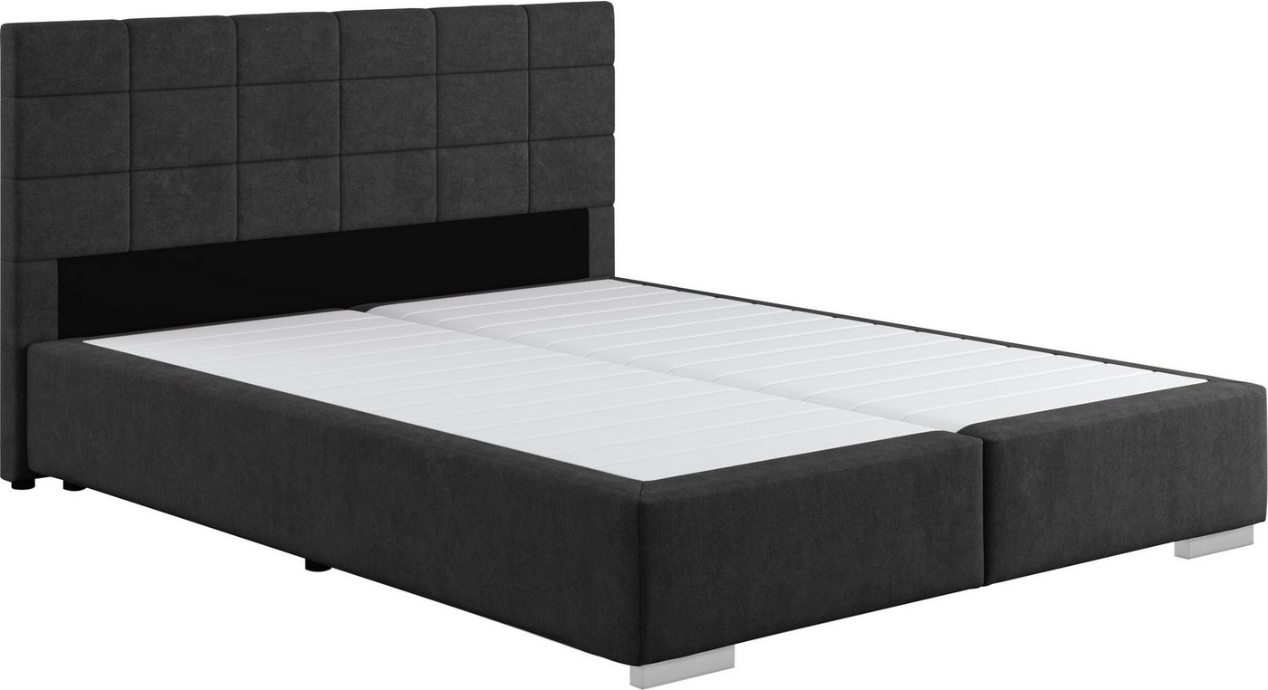 COTTA Boxspringbett Simba in verschiedenen Farben und Breiten erhältlich, ohne Matratze, Bezugsstoff: Struktur fein