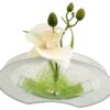 POCOline Vase klar Glas B/H/L: ca. 4,5x9,5x20 cm
