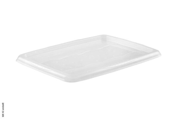 keeeper Deckel transparent B/H/L: ca. 41x2x34 cm keeeper Deckel transparent B/H/L: ca. 41x2x34 cm