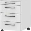 Rollcontainer 4251-69 Lichtgrau B/H/T: ca. 42x61x49 cm Rollcontainer 4251-69 Lichtgrau B/H/T: ca. 42x61x49 cm