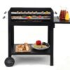 Tepro Chill&Grill Holzkohlengrill "Lambada"