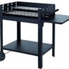 Tepro Chill&Grill Holzkohlengrill "Lambada"