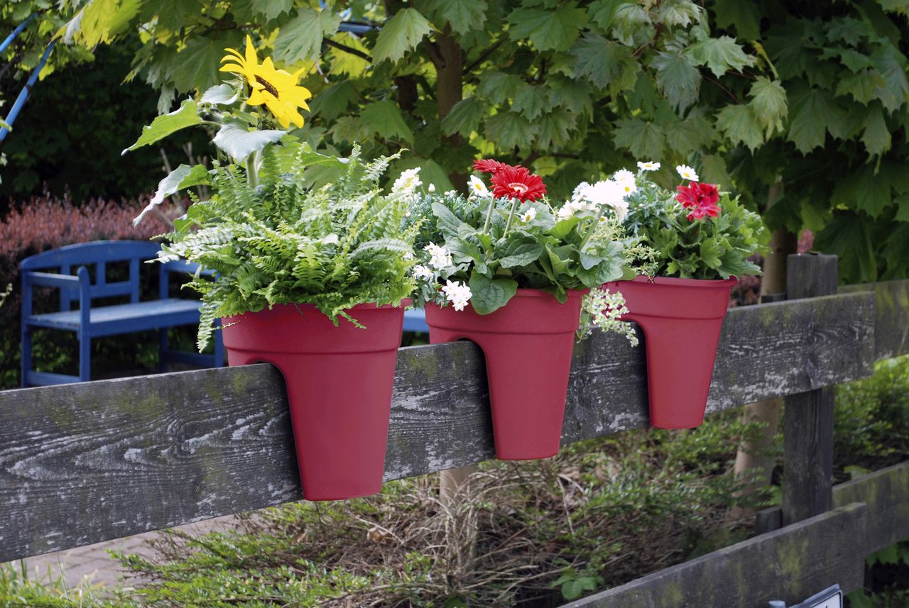 KHW Geländerblumentopf Flowerclip, 3er Set, beere