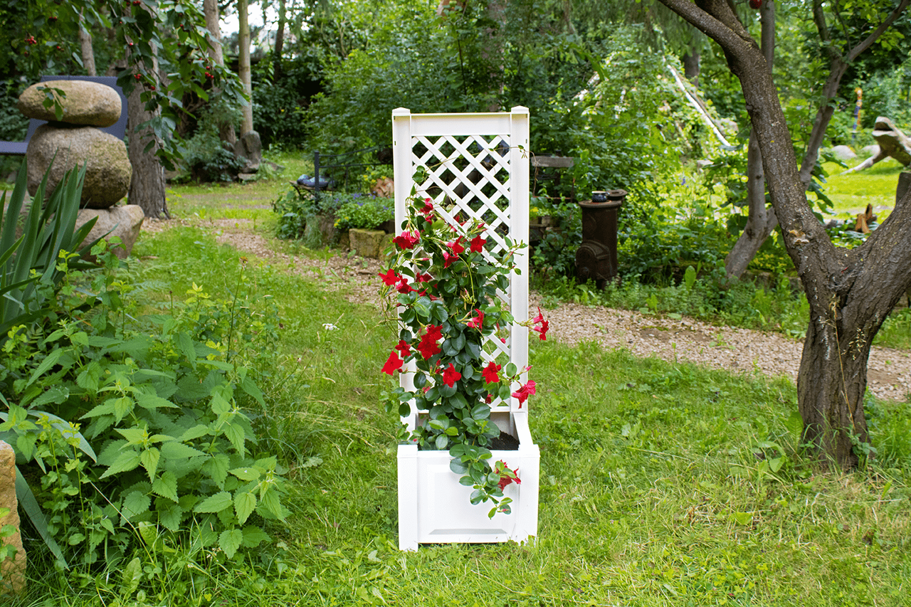 KHW KHW Pflanzkasten 43 cm mit Spalier, weiß