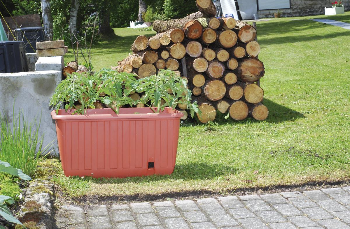 KHW Pflanzkasten „Ambizioso“, terra