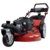 Güde Rasenmäher BIG WHEELER 554.2 R TRIKE