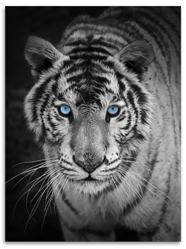 Kinzler Flanell Wohndecke Tiger