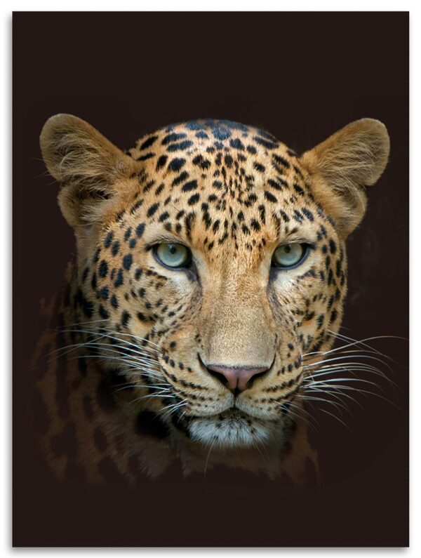 Kinzler Flanell Wohndecke Leopard