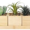 Deko-Pflanze natur Bambus B/H/L: ca. 11x20x29 cm