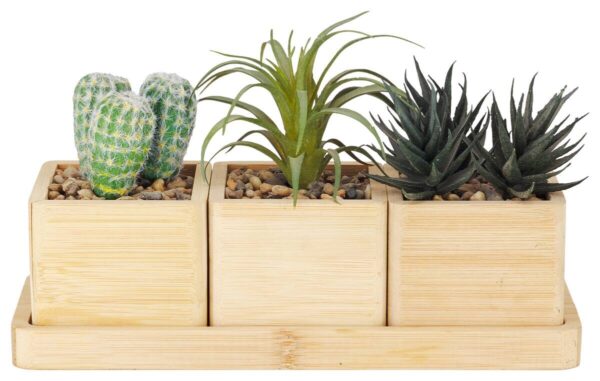 Deko-Pflanze natur Bambus B/H/L: ca. 11x20x29 cm Deko-Pflanze natur Bambus B/H/L: ca. 11x20x29 cm