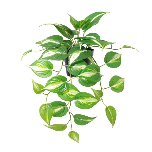 Kunstpflanze Pothos grün Kunststoff B/T/L: ca. 37x35x50 cm Kunstpflanze Pothos grün Kunststoff B/T/L: ca. 37x35x50 cm