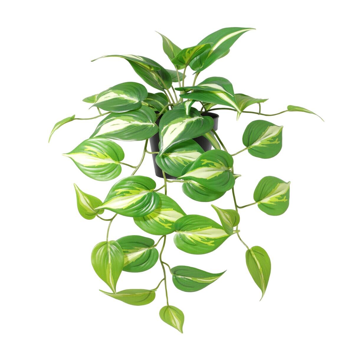 Kunstpflanze Pothos grün Kunststoff B/T/L: ca. 37x35x50 cm