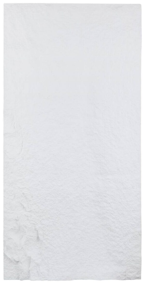 Wandpaneel PU Stone 2er-Set Alabaster L/B/H: ca. 120x60x3 cm pro Stück