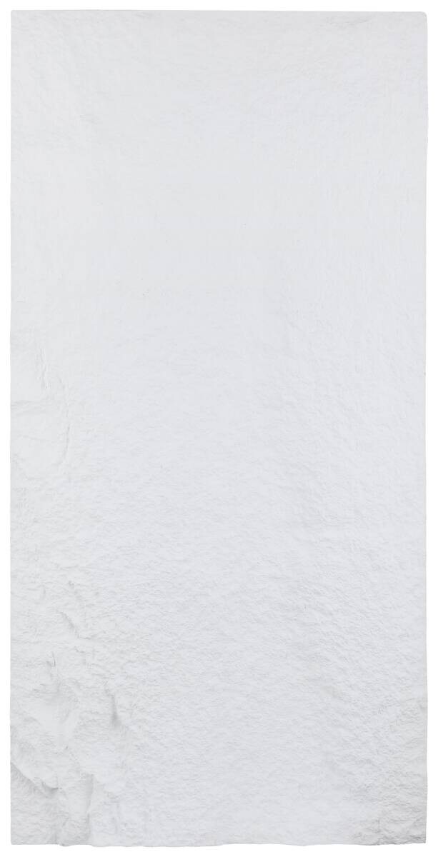 Wandpaneel PU Stone 2er-Set Alabaster L/B/H: ca. 120x60x3 cm pro Stück