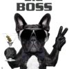 Bönninghoff Keilrahmenbild Big Boss Hund B/L: ca. 46x61 cm Bönninghoff Keilrahmenbild Big Boss Hund B/L: ca. 46x61 cm