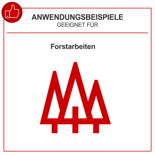 4046664217244-8 Scheppach Benzin Kettensäge CSP530S inkl. Brille und Gehörschutz