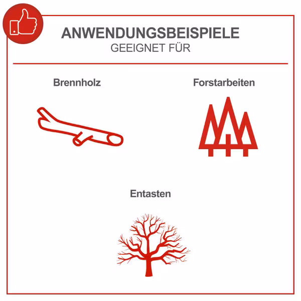 Scheppach Benzin – Kettensäge PCS56