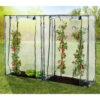 GreenYard 2er – Set Tomatengewächshäuser, ca.150 x 100 x 50 cm